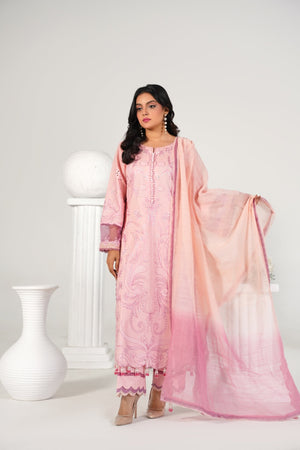 3 Piece Embroidered Baby Pink Suit - Abeer Rasheed