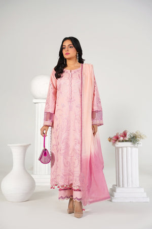 3 Piece Embroidered Baby Pink Suit - Abeer Rasheed