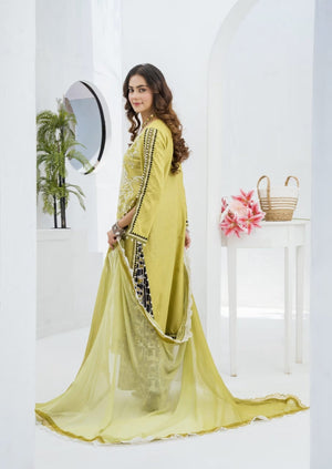 Lush Green - Abeer Rasheed
